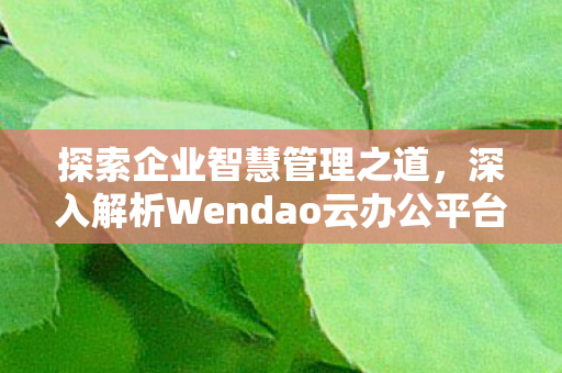 探索企业智慧管理之道，深入解析Wendao云办公平台的优势与应用