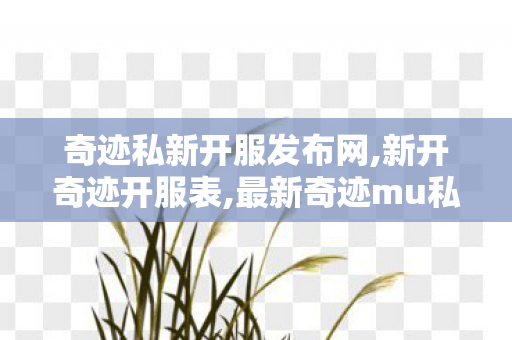 奇迹私新开服发布网,新开奇迹开服表,最新奇迹mu私 发服网,新开奇迹开服表