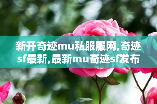 新开奇迹mu私服服网,奇迹sf最新,最新mu奇迹sf发布,奇迹sf最新