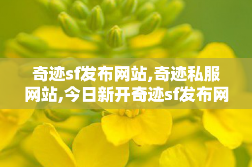 奇迹sf发布网站,奇迹私服网站,今日新开奇迹sf发布网站,奇迹私服网站