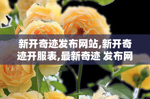 新开奇迹发布网站,新开奇迹开服表,最新奇迹 发布网新开服,新开奇迹开服表