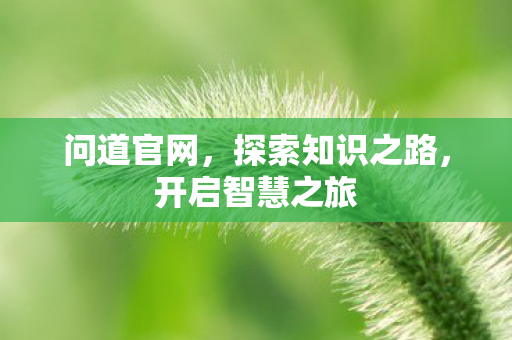 问道官网，探索知识之路，开启智慧之旅
