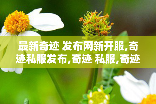 最新奇迹 发布网新开服,奇迹私服发布,奇迹 私服,奇迹私服发布