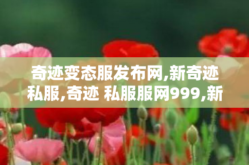 奇迹变态服发布网,新奇迹私服,奇迹 私服服网999,新奇迹私服