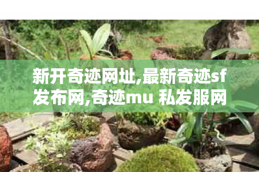 新开奇迹网址,最新奇迹sf发布网,奇迹mu 私发服网大全,最新奇迹sf发布网