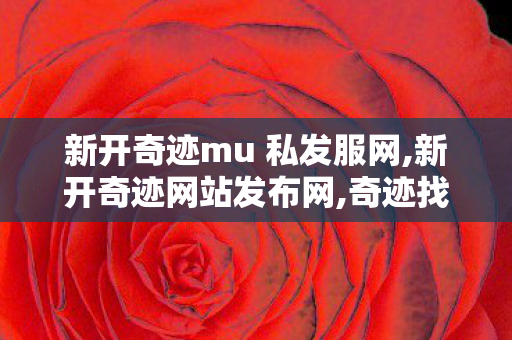 新开奇迹mu 私发服网,新开奇迹网站发布网,奇迹找服网,新开奇迹网站发布网