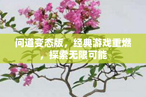 问道变态版，经典游戏重燃，探索无限可能