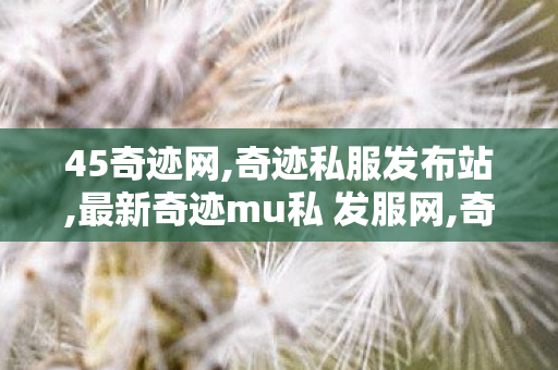 45奇迹网,奇迹私服发布站,最新奇迹mu私 发服网,奇迹私服发布站