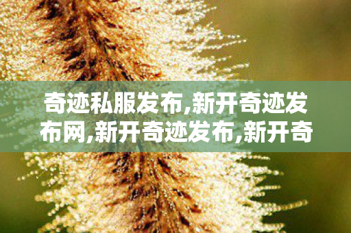 奇迹私服发布,新开奇迹发布网,新开奇迹发布,新开奇迹发布网