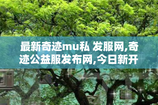 最新奇迹mu私 发服网,奇迹公益服发布网,今日新开奇迹私发服网,奇迹公益服发布网