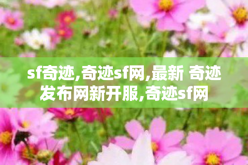 sf奇迹,奇迹sf网,最新 奇迹发布网新开服,奇迹sf网