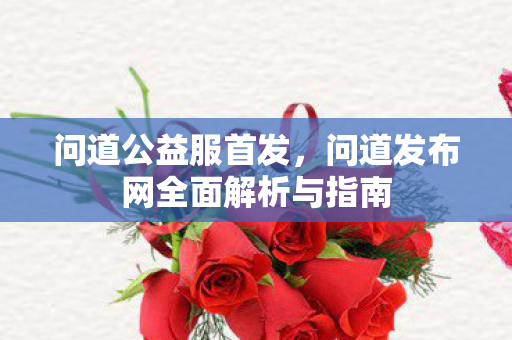 问道公益服首发，问道发布网全面解析与指南