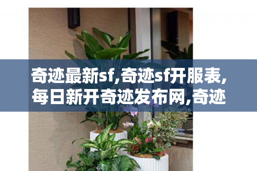 奇迹最新sf,奇迹sf开服表,每日新开奇迹发布网,奇迹sf开服表
