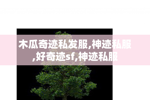 木瓜奇迹私发服,神迹私服,好奇迹sf,神迹私服