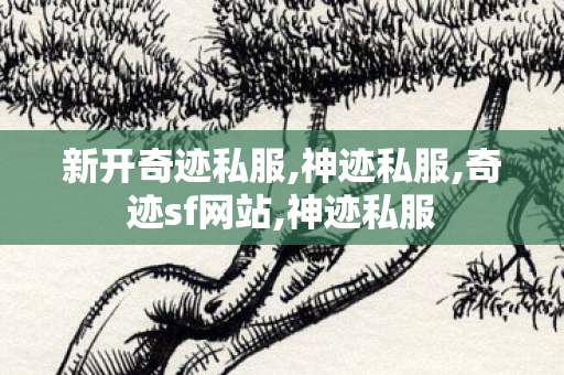 新开奇迹私服,神迹私服,奇迹sf网站,神迹私服