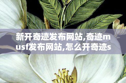 新开奇迹发布网站,奇迹musf发布网站,怎么开奇迹sf,奇迹musf发布网站