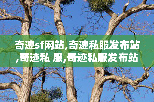 奇迹sf网站,奇迹私服发布站,奇迹私 服,奇迹私服发布站