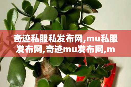 奇迹私服私发布网,mu私服发布网,奇迹mu发布网,mu私服发布网