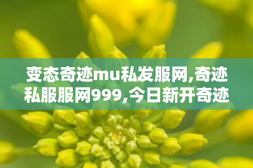 变态奇迹mu私发服网,奇迹私服服网999,今日新开奇迹私发网,奇迹私服服网999