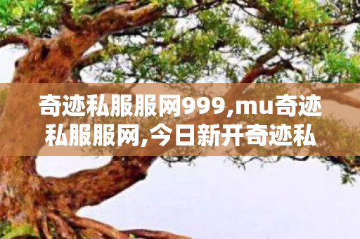 奇迹私服服网999,mu奇迹私服服网,今日新开奇迹私服,mu奇迹私服服网