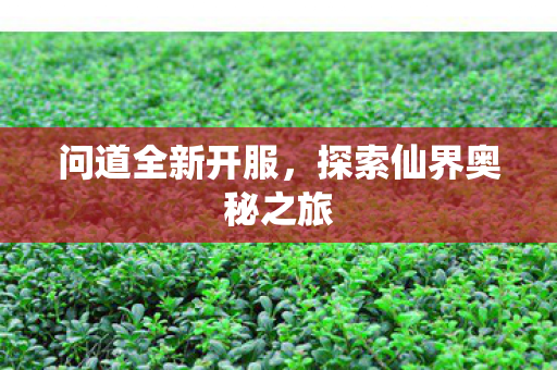 问道全新开服，探索仙界奥秘之旅