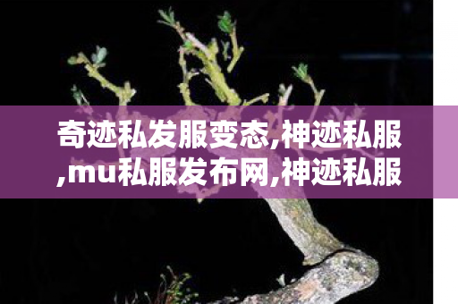 奇迹私发服变态,神迹私服,mu私服发布网,神迹私服