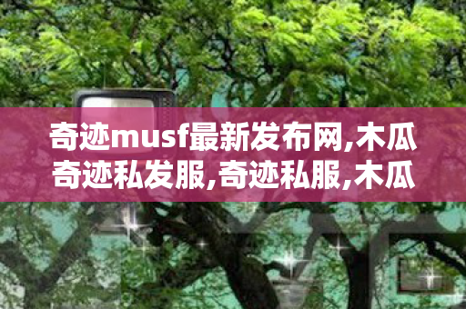 奇迹musf最新发布网,木瓜奇迹私发服,奇迹私服,木瓜奇迹私发服