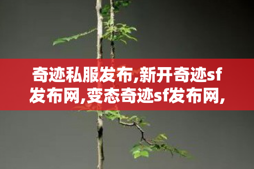 奇迹私服发布,新开奇迹sf发布网,变态奇迹sf发布网,新开奇迹sf发布网