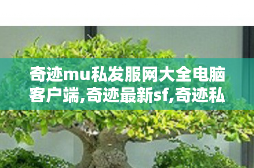 奇迹mu私发服网大全电脑客户端,奇迹最新sf,奇迹私发 网,奇迹最新sf