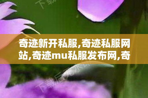 奇迹新开私服,奇迹私服网站,奇迹mu私服发布网,奇迹私服网站