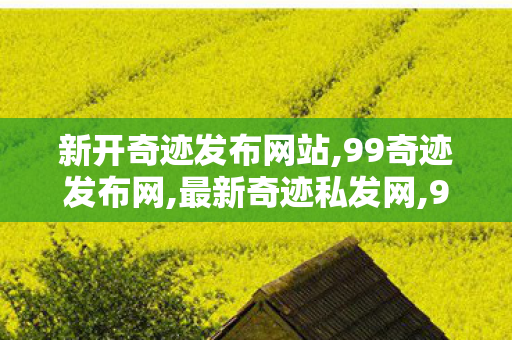 新开奇迹发布网站,99奇迹发布网,最新奇迹私发网,99奇迹发布网