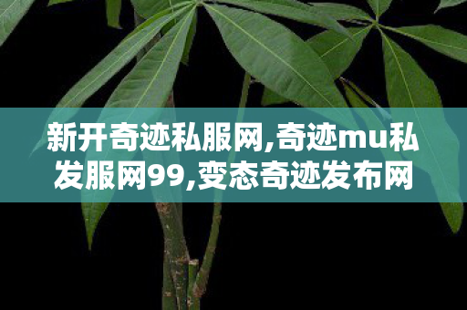 新开奇迹私服网,奇迹mu私发服网99,变态奇迹发布网,奇迹mu私发服网99