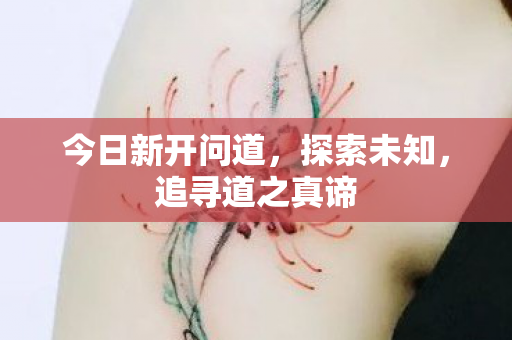 今日新开问道，探索未知，追寻道之真谛
