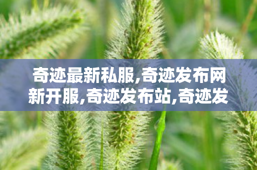 奇迹最新私服,奇迹发布网新开服,奇迹发布站,奇迹发布网新开服