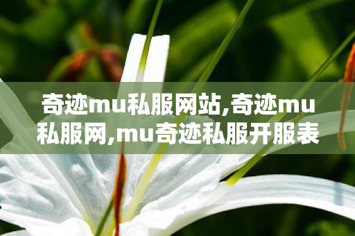 奇迹mu私服网站,奇迹mu私服网,mu奇迹私服开服表,奇迹mu私服网