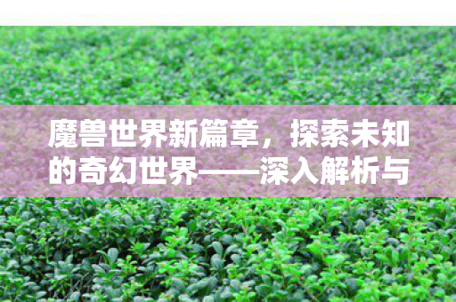 魔兽世界新篇章，探索未知的奇幻世界——深入解析与全面介绍