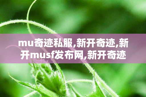 mu奇迹私服,新开奇迹,新开musf发布网,新开奇迹