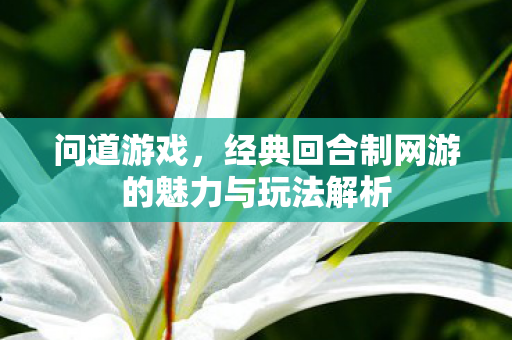 问道游戏，经典回合制网游的魅力与玩法解析