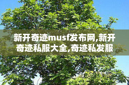 新开奇迹musf发布网,新开奇迹私服大全,奇迹私发服客户端,新开奇迹私服大全