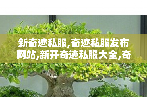 新奇迹私服,奇迹私服发布网站,新开奇迹私服大全,奇迹私服发布网站