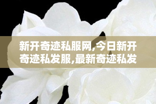 新开奇迹私服网,今日新开奇迹私发服,最新奇迹私发服网,今日新开奇迹私发服