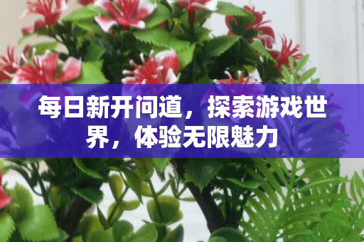 每日新开问道，探索游戏世界，体验无限魅力