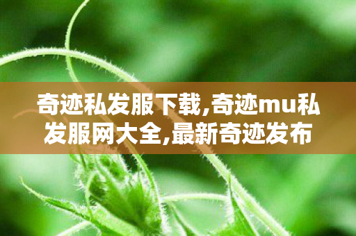 奇迹私发服下载,奇迹mu私发服网大全,最新奇迹发布网,奇迹mu私发服网大全