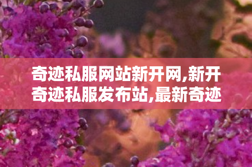 奇迹私服网站新开网,新开奇迹私服发布站,最新奇迹发布网新开服,新开奇迹私服发布站