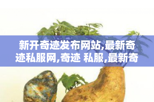 新开奇迹发布网站,最新奇迹私服网,奇迹 私服,最新奇迹私服网