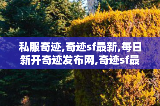 私服奇迹,奇迹sf最新,每日新开奇迹发布网,奇迹sf最新