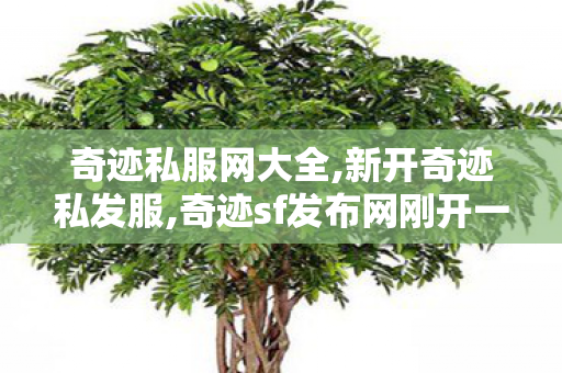 奇迹私服网大全,新开奇迹私发服,奇迹sf发布网刚开一秒,新开奇迹私发服
