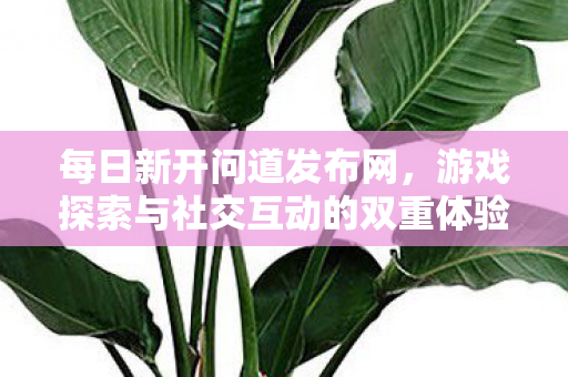 每日新开问道发布网，游戏探索与社交互动的双重体验