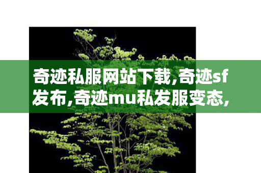 奇迹私服网站下载,奇迹sf发布,奇迹mu私发服变态,奇迹sf发布