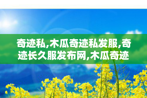 奇迹私,木瓜奇迹私发服,奇迹长久服发布网,木瓜奇迹私发服